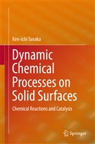 Ken-ichi Tanaka - Dynamic Chemical Processes on Solid Surfaces