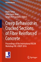 Pedro Serna, Sergio H. P. Cavalaro, Sergio H P Cavalaro, Aito Llano-Torre, Aitor Llano-Torre, Pedro Serna - Creep Behaviour in Cracked Sections of Fibre Reinforced Concrete