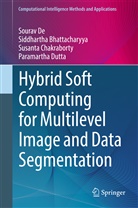 Siddharth Bhattacharyya, Siddhartha Bhattacharyya, Chakraborty, Susanta Chakraborty, Soura De, Sourav De... - Hybrid Soft Computing for Multilevel Image and Data Segmentation