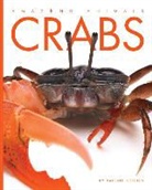Valerie Bodden - CRABS