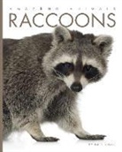 Kate Riggs - RACCOONS