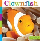 Kate Riggs - CLOWNFISH