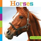 Quinn A. Arnold, Quinn M Arnold, Quinn M. Arnold - HORSES