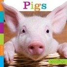 Quinn A. Arnold, Quinn M Arnold, Quinn M. Arnold - PIGS
