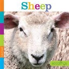 Quinn A. Arnold, Quinn M Arnold, Quinn M. Arnold - SHEEP