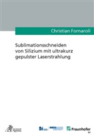 Christian Fornaroli - Sublimationsschneiden von Silizium mit ultrakurz gepulster Laserstrahlung