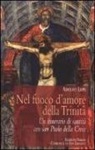 Adolfo Lippi - Nel fuoco d'amore della Trinità. Un itinerario di santità con san Paolo della Croce