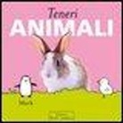 MACK - Teneri animali