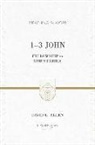 David L Allen, David L. Allen, R Kent Hughes, R. Kent Hughes - 1-3 John