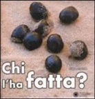 Stéphane Frattini - Chi l'ha fatta?
