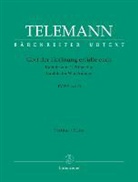 Georg Philipp Telemann, Maik Richter - Gott der Hoffnung erfülle euch TVWV 1:634