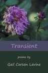 Gail Carson Levine - Transient