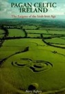 Barry Raftery, Raftery Barry - Pagan Celtic Ireland
