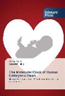 Shahi Asadi, Shahin Asadi, Saeedeh Habibi - The Molecular Clock of Human Embryonic Heart