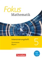 Brigitte Distel, Klaus Schuster - Fokus Mathematik, Ausgabe Bayern 2017: Fokus Mathematik - Bayern - Ausgabe 2017 - 5. Jahrgangsstufe