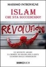 Massimo Introvigne - Islam. Che sta succedendo? Le rivolte arabe. La morte di Osama Bin Laden. L'esodo degli immigrati