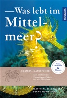 Matthia Bergbauer, Matthias Bergbauer, Bernd Humberg - Was lebt im Mittelmeer?