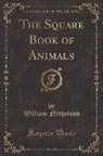 William Nicholson - The Square Book of Animals (Classic Reprint)