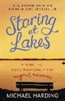 Michael Harding - Staring at Lakes