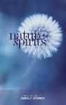 Rudolf Steiner, Steiner Rudolf - Nature Spirits