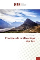 Jamal Benbouziyane - Principes de la Mécanique des Sols