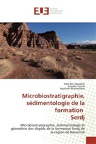 Bile Ben Abdallah, Bilel Ben Abdallah, Hay Khemekhem, Haythem Khemekhem, Scande Tounsi, Scander Tounsi - Microbiostratigraphie, sédimentologie de la formation Serdj