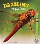 Catherine Ipcizade - Dazzling Dragonflies