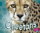 Deborah Nuzzolo - Cheetahs