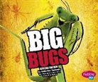Catherine Ipcizade - Big Bugs