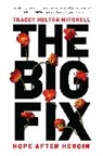 Tracey Helton Mitchell, Tracey Mitchell, Tracey Helton Mitchell - The Big Fix