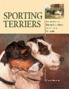 David Hancock - Sporting Terriers