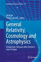 Ji¿í Bi¿ák, Jir Bicák, Jirí Bicák, Jiří Bičák, Ledvinka, Ledvinka... - General Relativity, Cosmology and Astrophysics
