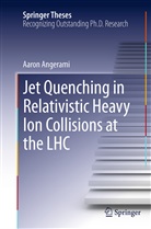 Aaron Angerami - Jet Quenching in Relativistic Heavy Ion Collisions at the LHC