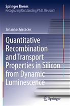 Johannes Giesecke - Quantitative Recombination and Transport Properties in Silicon from Dynamic Luminescence