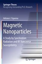 Adriana I Figueroa, Adriana I. Figueroa - Magnetic Nanoparticles