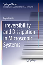 Édgar Roldán - Irreversibility and Dissipation in Microscopic Systems