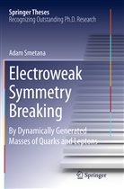 Mgr Adam Smetana, Mgr. Adam Smetana, Mgr.Adam Smetana - Electroweak Symmetry Breaking