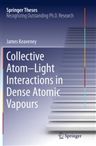 James Keaveney - Collective Atom-Light Interactions in Dense Atomic Vapours