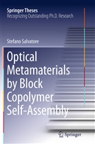 Stefano Salvatore - Optical Metamaterials by Block Copolymer Self-Assembly