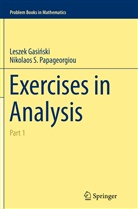 Leszek Gasi¿ksi, Lesze Gasinksi, Leszek Gasinksi, Leszek Gasińksi, Leszek Gasinski, Nikolaos S Papageorgiou... - Exercises in Analysis