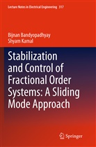 Bijna Bandyopadhyay, Bijnan Bandyopadhyay, Bandyopadhyay Bijnan, Shyam Kamal - Stabilization and Control of Fractional Order Systems: A Sliding Mode Approach