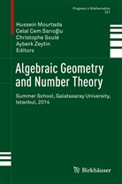 Cela Cem Sarioglu, Celal Cem Sarioglu, Hussein Mourtada, Celal Cem Sar oglu, Celal Cem Sar¿o¿lu, Celal Cem Sarioglu... - Algebraic Geometry and Number Theory