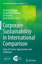 Sara Elena Windolph, Sarah Elena Windolph, Dorli Harms, Dorli Harms et al, Jacob Hörisch, Stefan Schaltegger... - Corporate Sustainability in International Comparison