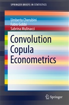 Umbert Cherubini, Umberto Cherubini, Fabi Gobbi, Fabio Gobbi, Sabrina Mulinacci - Convolution Copula Econometrics