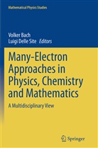 Volke Bach, Volker Bach, Delle Site, Delle Site, Luigi Delle Site - Many-Electron Approaches in Physics, Chemistry and Mathematics