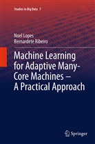 Noe Lopes, Noel Lopes, Bernardete Ribeiro - Machine Learning for Adaptive Many-Core Machines - A Practical Approach