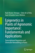 Raú Alvarez-Venegas, Raúl Alvarez-Venegas, Casas-Mol, Juan Armando Casas-Mollano, Cleli De la Peña, Clelia De la Peña - Epigenetics in Plants of Agronomic Importance: Fundamentals and Applications