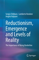 Sergi Chibbaro, Sergio Chibbaro, Lambert Rondoni, Lamberto Rondoni, Angel Vulpiani, Angelo Vulpiani - Reductionism, Emergence and Levels of Reality