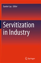 Gunte Lay, Gunter Lay - Servitization in Industry
