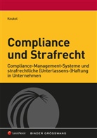 Pilar Koukol - Compliance und Strafrecht